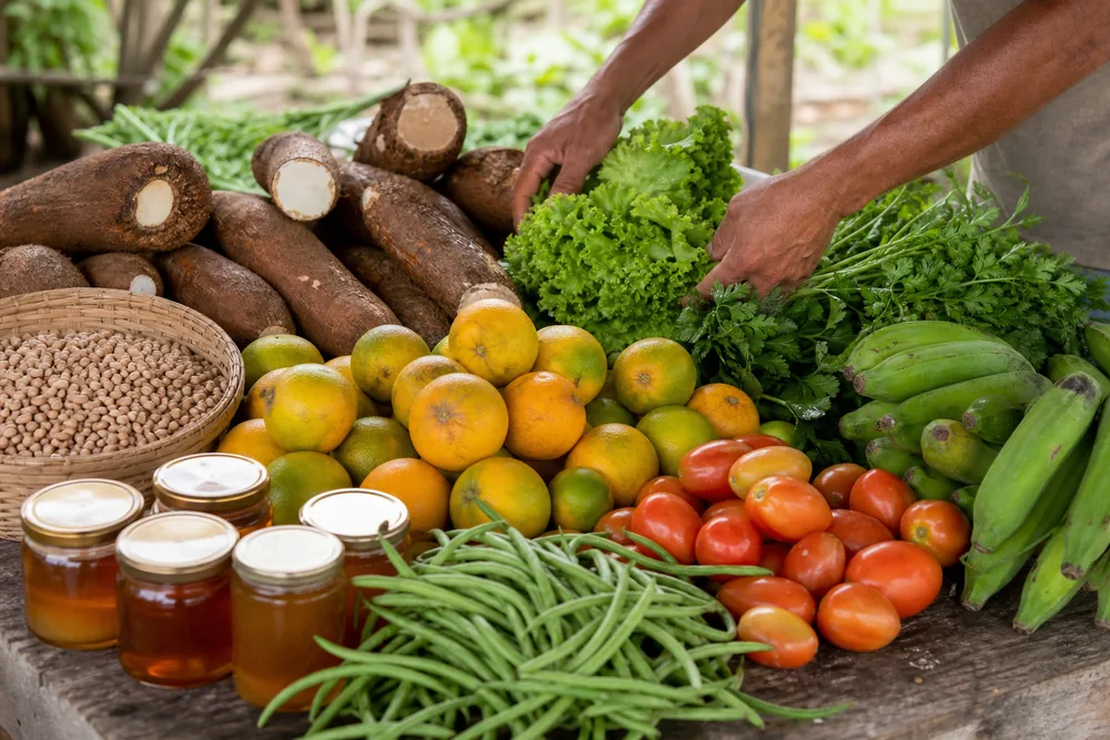 Mandioca, frutas, hortaliças, feijão e mel organizados para comercialização